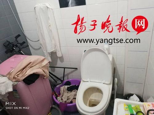 厕所 福利 在线视频,在线视频带你探索公共卫生新境界