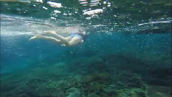 水島 在线视频,揭秘神秘岛屿的美丽与传奇